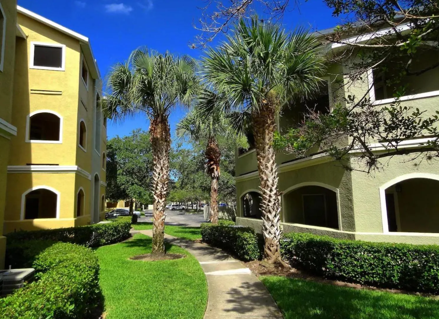 Apartment The Avalon Sandy Toes Home Away From Home Clearwater